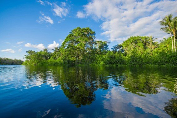 Cuyabeno River surrounded by lush Amazon rainforest under a bright blue sky in Ecuador.