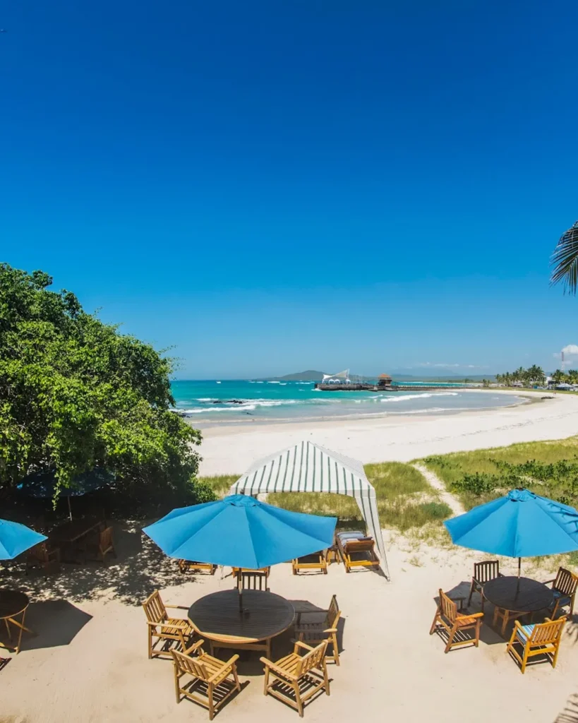 Beachfront hotel setting on Isabela Island with white sand, blue ocean and outdoor seating.