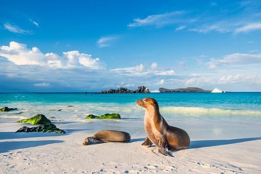 Galapagos and Ecuador tours