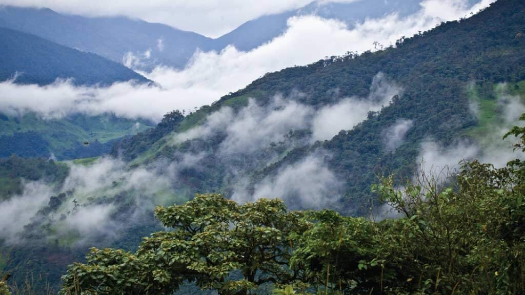 Misty cloud forest landscape near Mindo, Ecuador, covered with lush tropical vegetation.